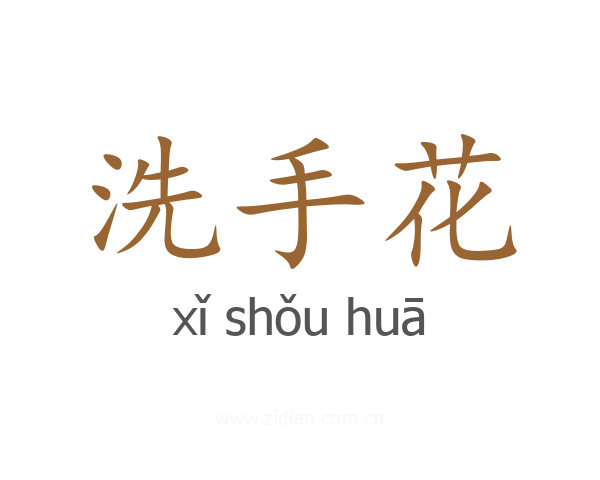 洗手花
