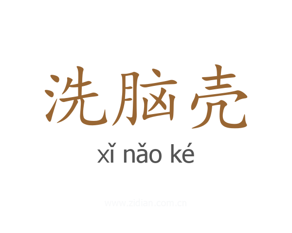 洗脑壳