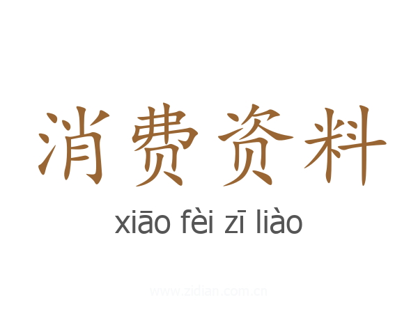消费资料