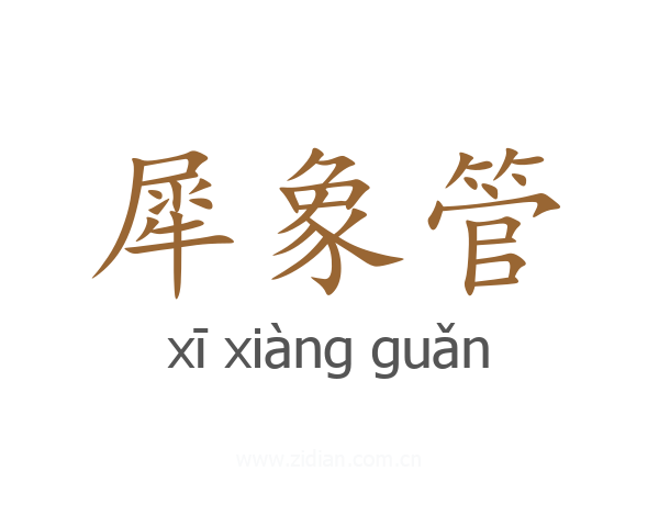 犀象管
