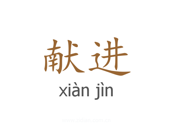 献进