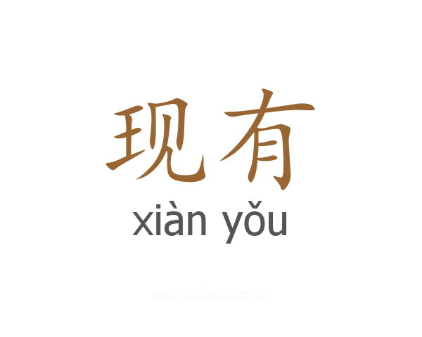 现有