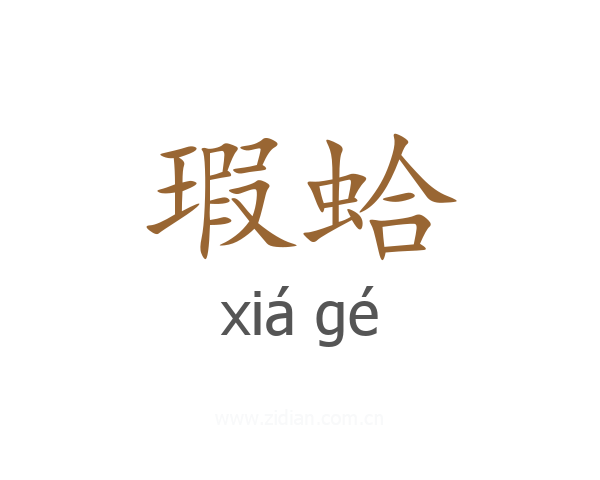 瑕蛤