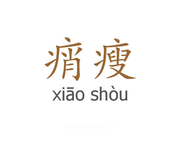痟瘦