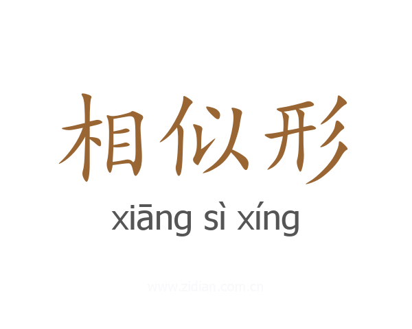 相似形