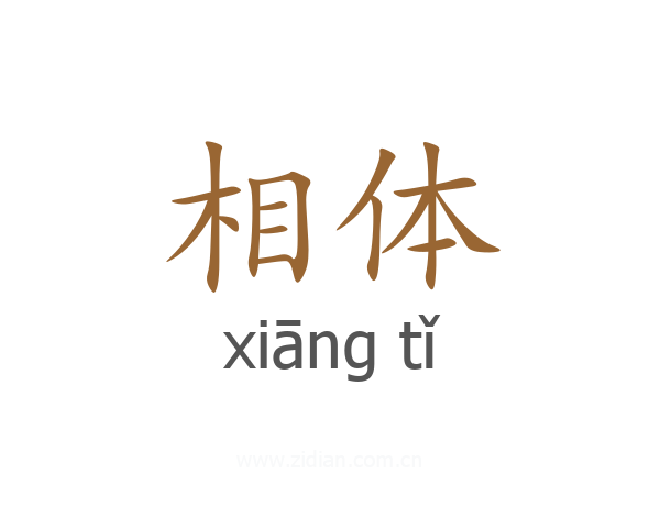 相体