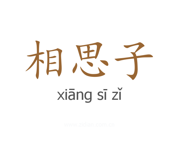 相思子