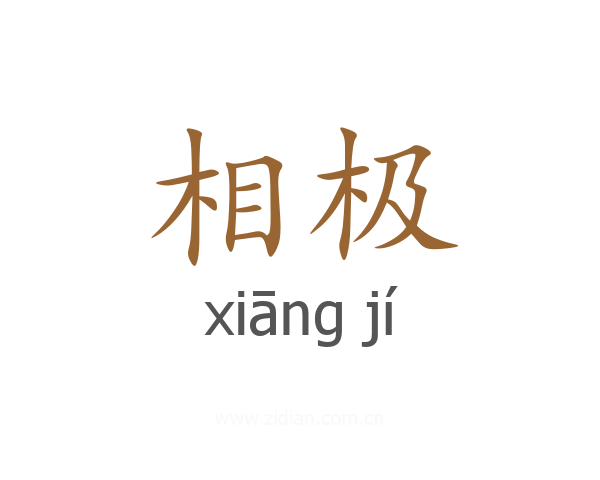 相极