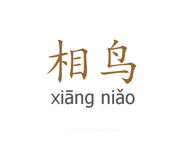 相鸟