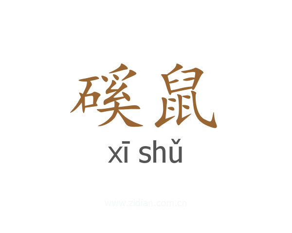 磎鼠