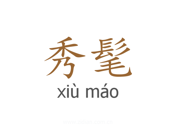 秀髦