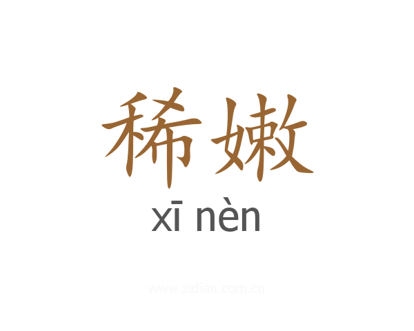 稀嫩