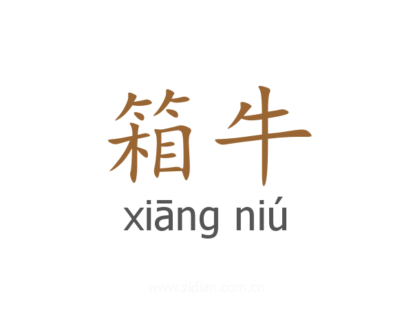 箱牛