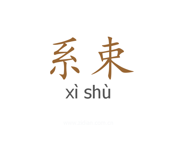 系束