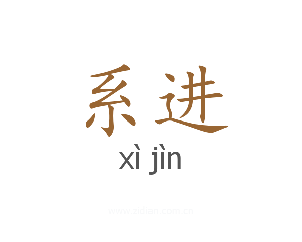 系进