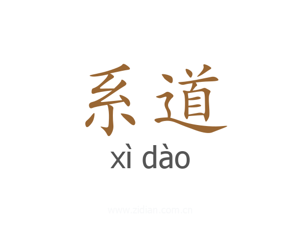 系道