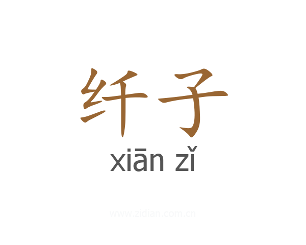 纤子