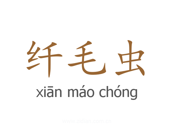 纤毛虫