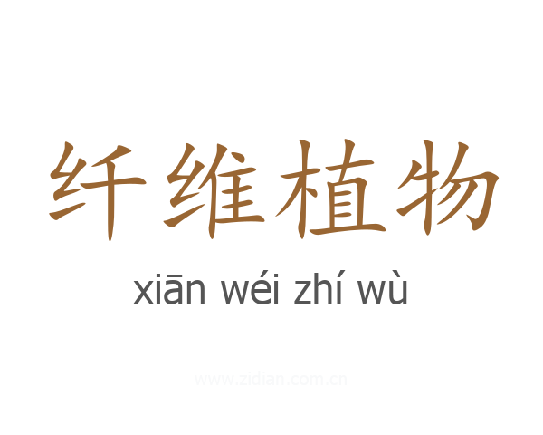 纤维植物