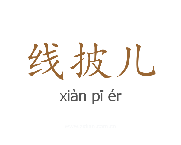 线披儿