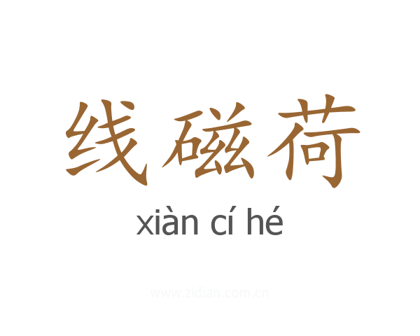 线磁荷