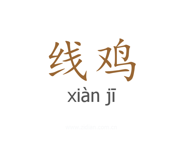 线鸡