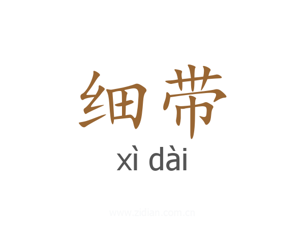 细带