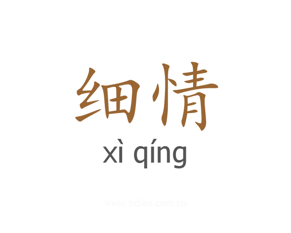 细情