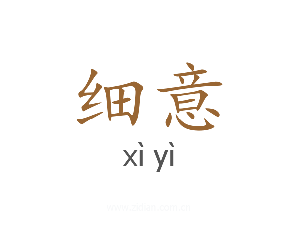 细意