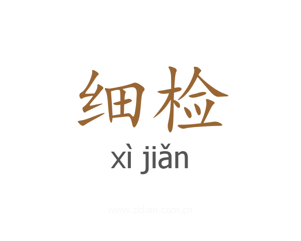 细检