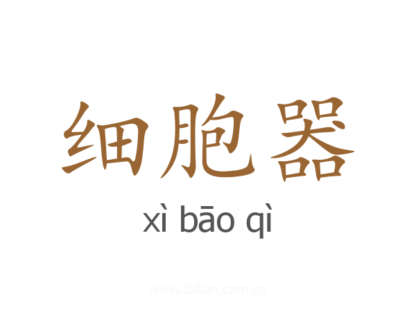 细胞器