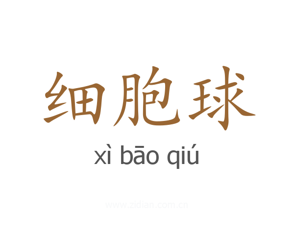 细胞球