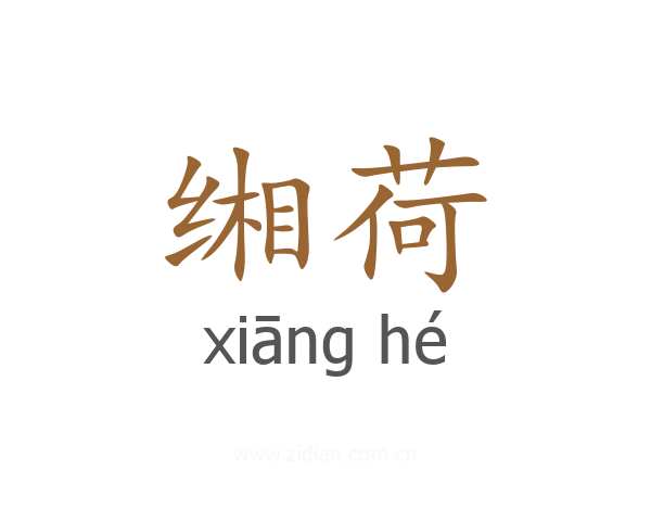 缃荷