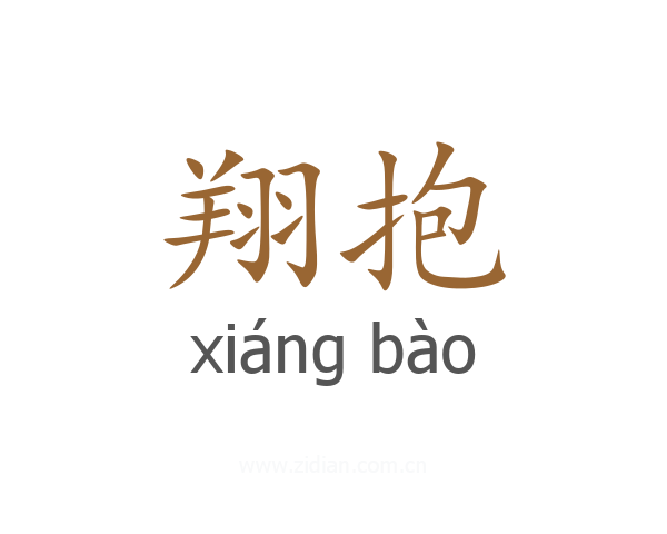 翔抱