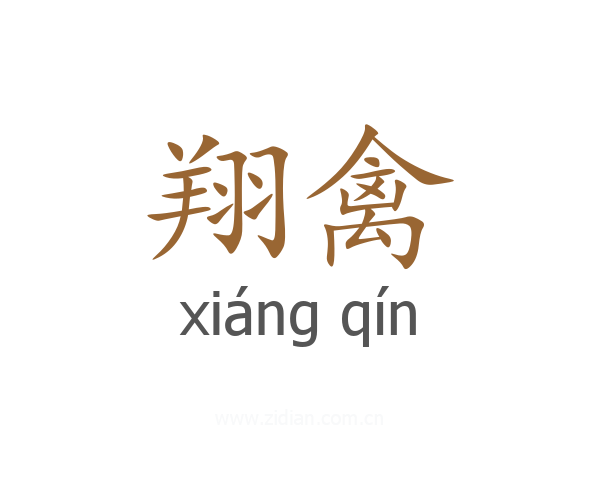 翔禽
