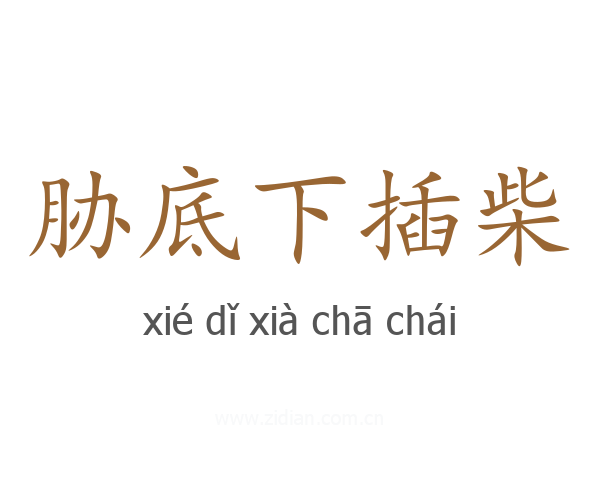 胁底下插柴