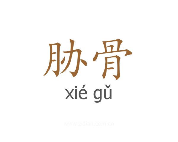 胁骨