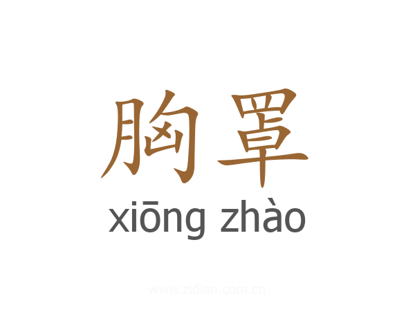 胸罩