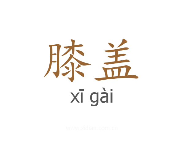 膝盖