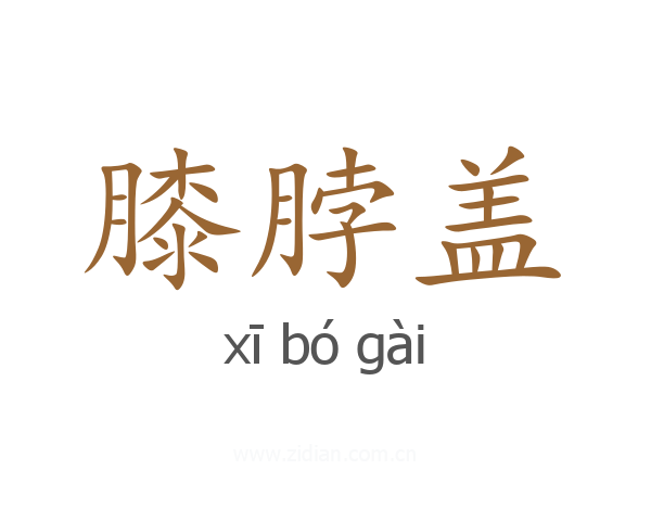 膝脖盖