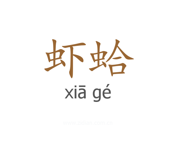 虾蛤