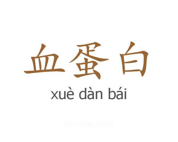血蛋白