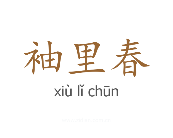 袖里春