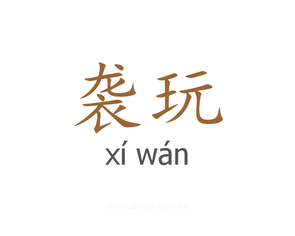 袭玩