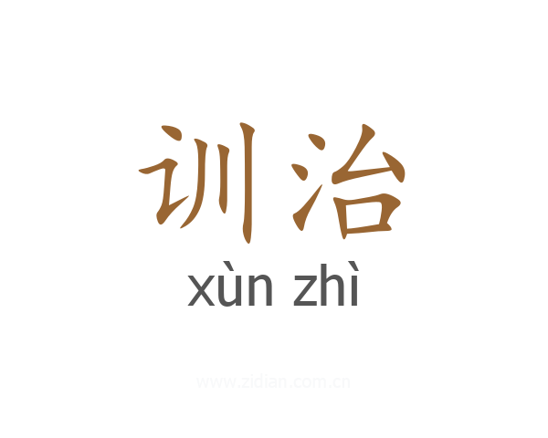 训治