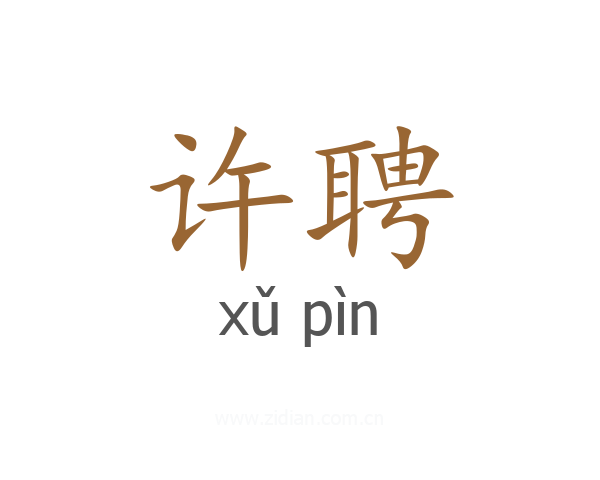 许聘