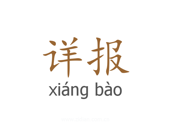 详报