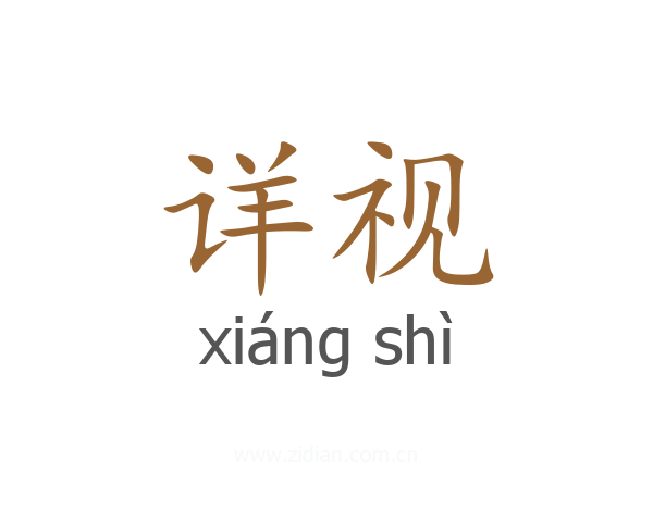 详视