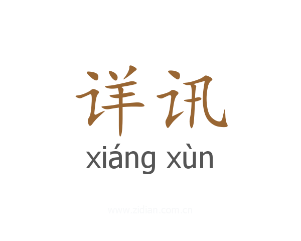 详讯