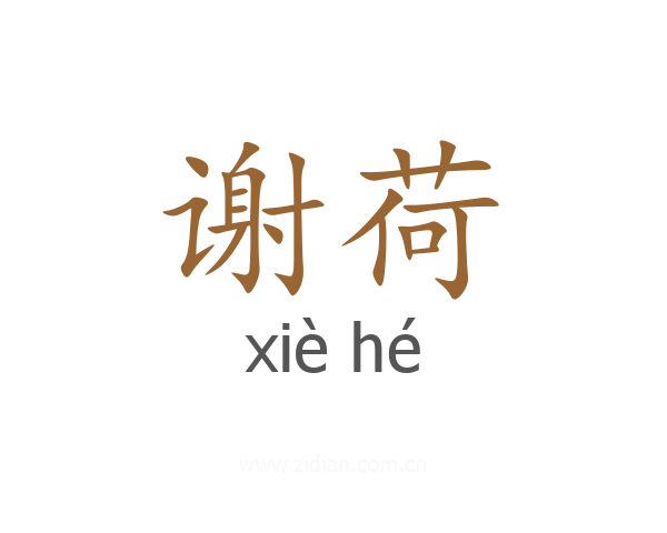 谢荷